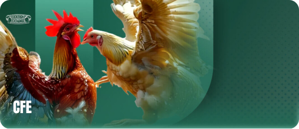 Khám Phá BJ88 - Sân Chơi Cá Cược Trực Tuyến Đẳng Cấp 37 19