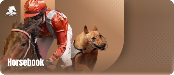 Khám Phá BJ88 - Sân Chơi Cá Cược Trực Tuyến Đẳng Cấp 39 21