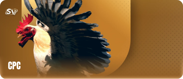 Khám Phá BJ88 - Sân Chơi Cá Cược Trực Tuyến Đẳng Cấp 21 3