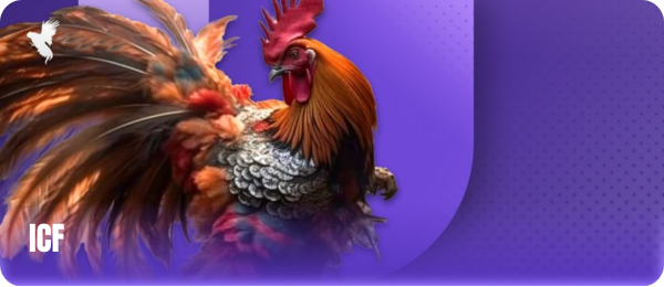 Khám Phá BJ88 - Sân Chơi Cá Cược Trực Tuyến Đẳng Cấp 23 5