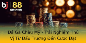 A Ga Chau My Trai Nghiem Thu Vi Tu Au Truong En Cuoc At