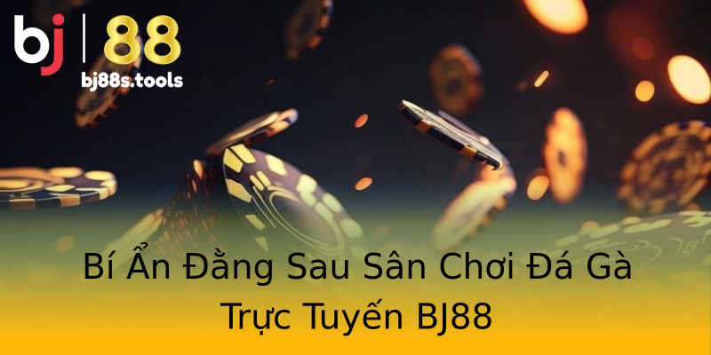 Bí Ẩn Đằng Sau Sân Chơi Đá Gà Trực Tuyến BJ88 Bí Ẩn Đằng Sau Sân Chơi Đá Gà Trực Tuyến BJ88