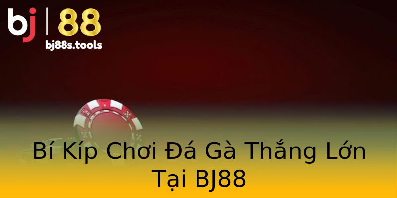 Bí Kíp Chơi Đá Gà Thắng Lớn Tại BJ88 Bí Kíp Chơi Đá Gà Thắng Lớn Tại BJ88
