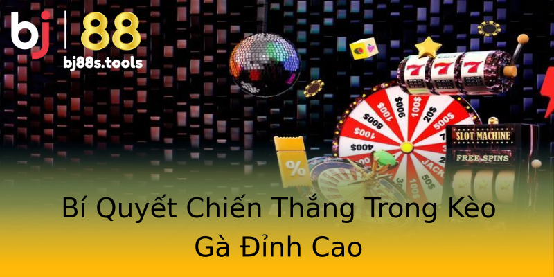 Bí Quyết Chiến Thắng Trong Kèo Gà Đỉnh Cao Bí Quyết Chiến Thắng Trong Kèo Gà Đỉnh Cao