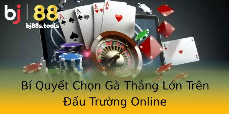Bí Quyết Chọn Gà Thắng Lớn Trên Đấu Trường Online Bí Quyết Chọn Gà Thắng Lớn Trên Đấu Trường Online