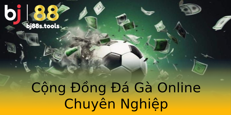 Cộng Đồng Đá Gà Online Chuyên Nghiệp Cộng Đồng Đá Gà Online Chuyên Nghiệp