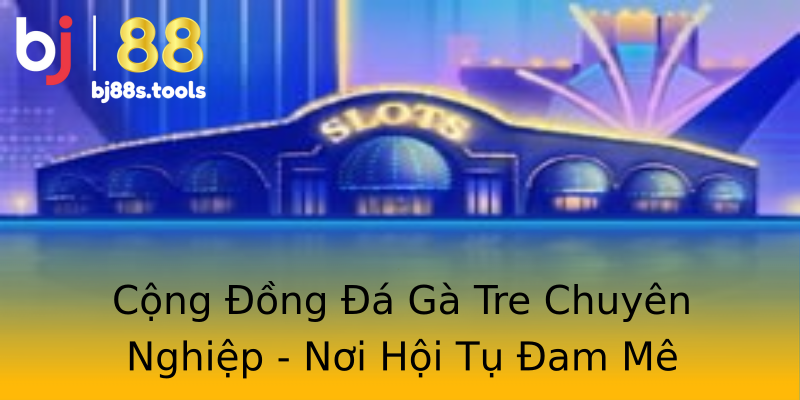 Cộng Đồng Đá Gà Tre Chuyên Nghiệp - Nơi Hội Tụ Đam Mê Cộng Đồng Đá Gà Tre Chuyên Nghiệp - Nơi Hội Tụ Đam Mê