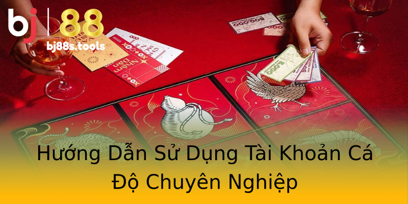 Hướng Dẫn Sử Dụng Tài Khoản Cá Độ Chuyên Nghiệp Hướng Dẫn Sử Dụng Tài Khoản Cá Độ Chuyên Nghiệp