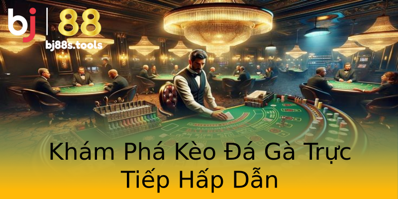 Khám Phá Kèo Đá Gà Trực Tiếp Hấp Dẫn Khám Phá Kèo Đá Gà Trực Tiếp Hấp Dẫn