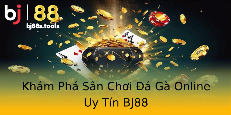 Khám Phá Sân Chơi Đá Gà Online Uy Tín BJ88 Khám Phá Sân Chơi Đá Gà Online Uy Tín BJ88