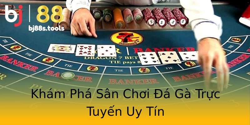 Khám Phá Sân Chơi Đá Gà Trực Tuyến Uy Tín Khám Phá Sân Chơi Đá Gà Trực Tuyến Uy Tín