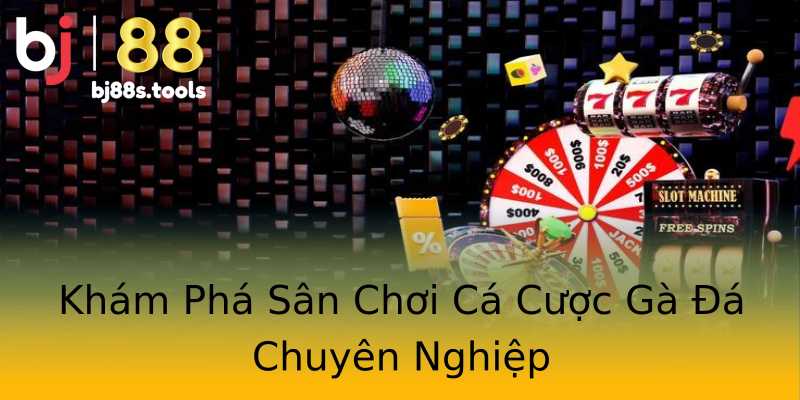 Khám Phá Sân Chơi Cá Cược Gà Đá Chuyên Nghiệp Khám Phá Sân Chơi Cá Cược Gà Đá Chuyên Nghiệp