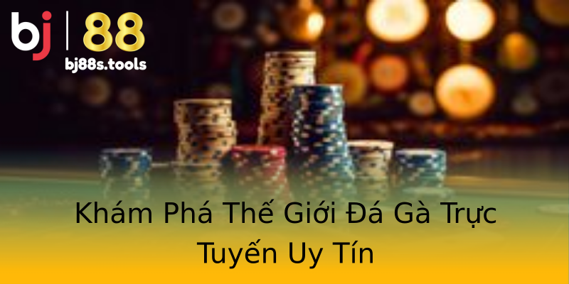 Khám Phá Thế Giới Đá Gà Trực Tuyến Uy Tín Khám Phá Thế Giới Đá Gà Trực Tuyến Uy Tín