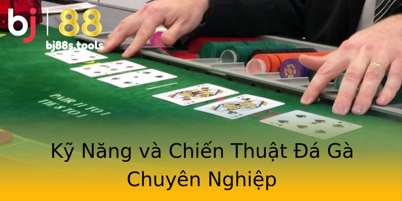 Kỹ Năng và Chiến Thuật Đá Gà Chuyên Nghiệp Kỹ Năng và Chiến Thuật Đá Gà Chuyên Nghiệp