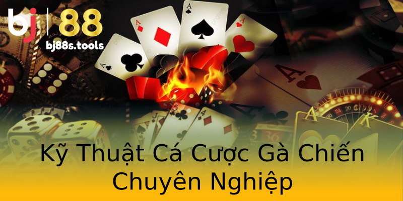 Kỹ Thuật Cá Cược Gà Chiến Chuyên Nghiệp Kỹ Thuật Cá Cược Gà Chiến Chuyên Nghiệp