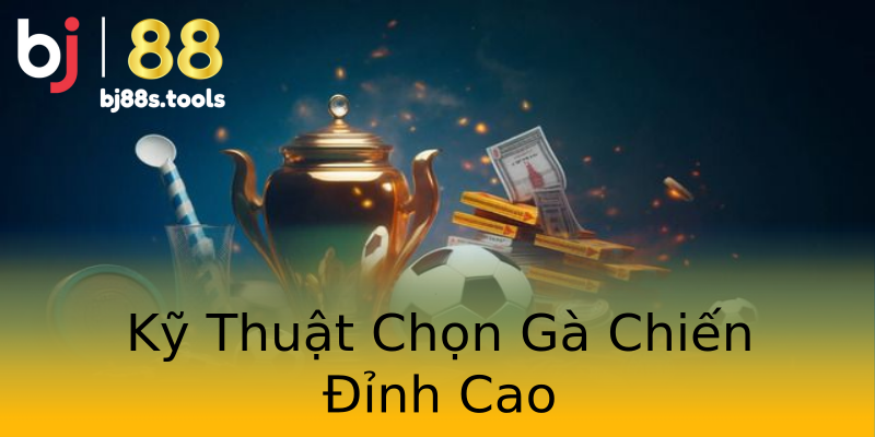 Kỹ Thuật Chọn Gà Chiến Đỉnh Cao Kỹ Thuật Chọn Gà Chiến Đỉnh Cao