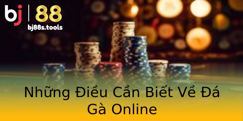 Những Điều Cần Biết Về Đá Gà Online Những Điều Cần Biết Về Đá Gà Online
