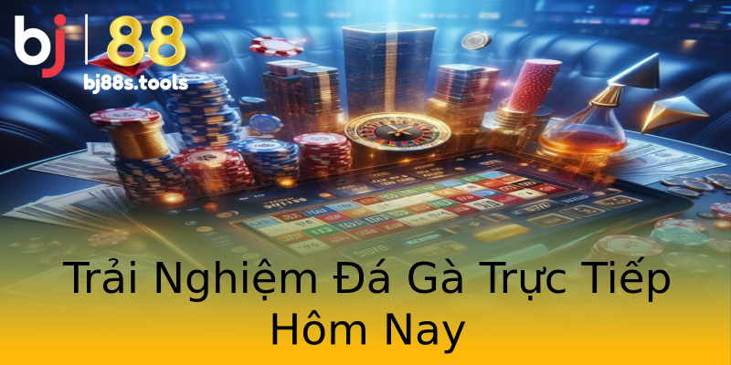 Trải Nghiệm Đá Gà Trực Tiếp Hôm Nay Trải Nghiệm Đá Gà Trực Tiếp Hôm Nay