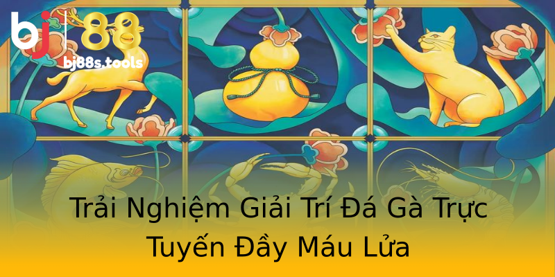Trải Nghiệm Giải Trí Đá Gà Trực Tuyến Đầy Máu Lửa Trải Nghiệm Giải Trí Đá Gà Trực Tuyến Đầy Máu Lửa