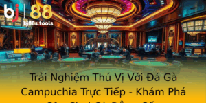 Trai Nghiem Thu Vi Voi A Ga Campuchia Truc Tiep Kham Pha San Choi Ga Ang Cap